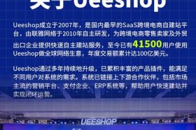 外国电商网站集实战（国内外电商网站）