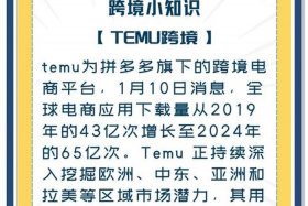 Temu跨境电商平台怎么样；temu跨境电商平台怎么样