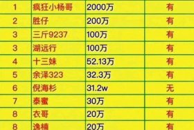 疯狂小杨哥电音节投资多少钱；疯狂小杨哥一年挣多少钱