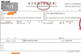 电商开发票；河南电商开发票