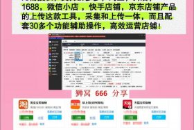 在线电商工具（在线电商工具包括哪些）