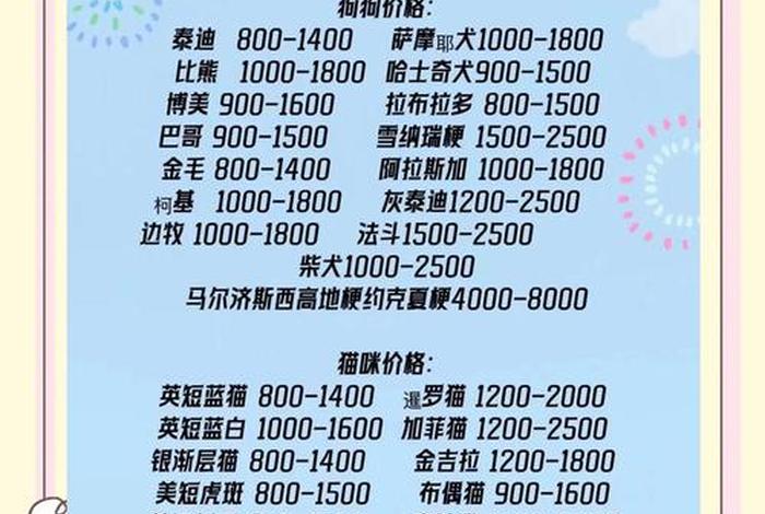 宠物电商什么名字(宠物电商什么名字好听) 宠物电商什么名字(宠物电商什么名字好听)