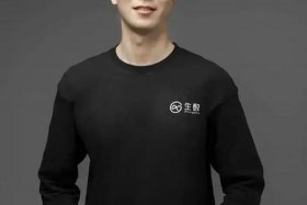 阿里任命；阿里任命为豪猪ceo