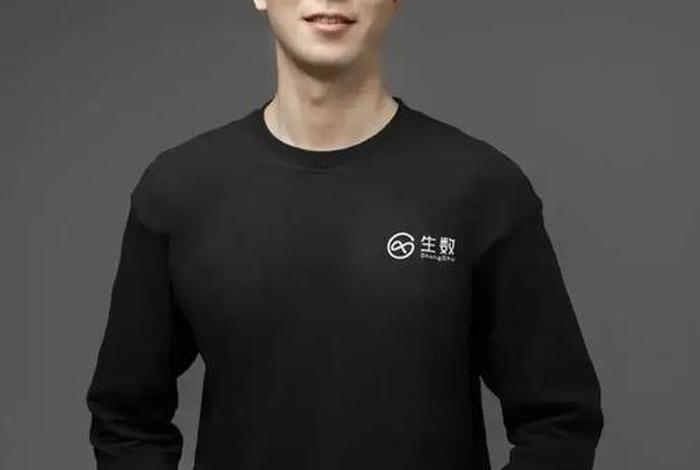 阿里任命；阿里任命为豪猪ceo