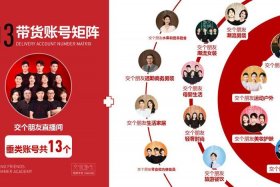 电商号矩阵运营、电商号矩阵运营怎么做