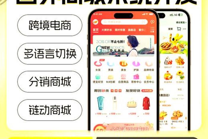 电商平台网站开发方案,电商平台网站开发方案模板 电商平台网站开发方案,电商平台网站开发方案模板