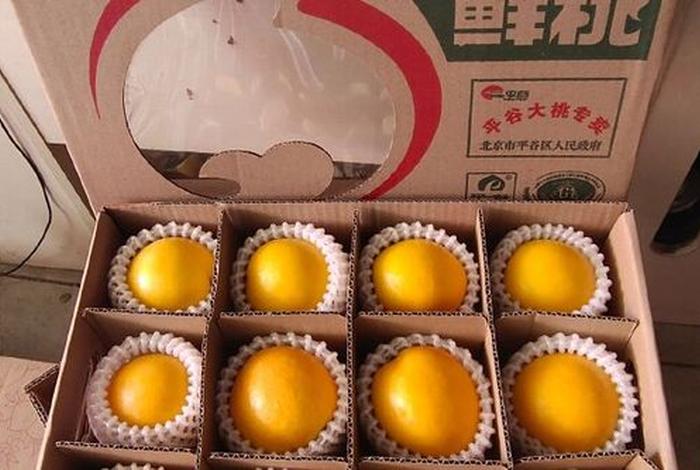 大桃子电商平台 大桃子电商平台官网