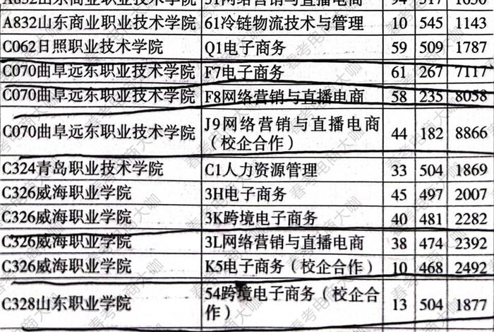 电商有什么专业，电商有什么专业可以报考