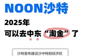 中东电商平台noon.com显示的货币是什么、中东电商市场的主流付款方式是什么