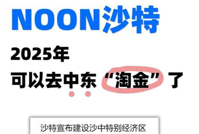 中东电商平台noon.com显示的货币是什么、中东电商市场的主流付款方式是什么 中东电商平台noon.com显示的货币是什么、中东电商市场的主流付款方式是什么