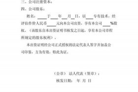 电商技术入股一般占多少；电商技术入股一般占多少股份
