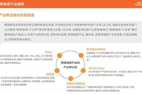 做跨境电商的成本 - 做跨境电商的成本有多高
