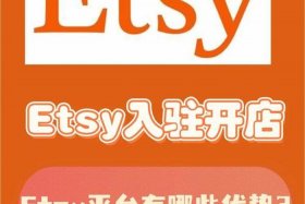 etsy跨境电商平台骗局 esg跨境电商怎么样