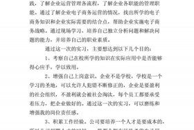 跨境电商操作实务报告怎么写，跨境电商操作实务实训报告