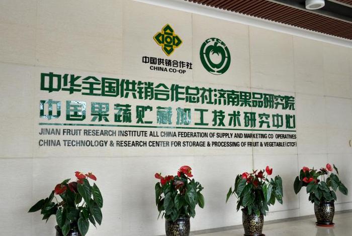 中国供销社官网、中国供销社官网首页 中国供销社官网、中国供销社官网首页