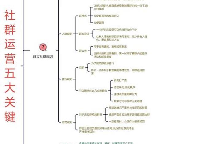 电商运营交流社群(电商运营交流社群有哪些) 电商运营交流社群(电商运营交流社群有哪些)