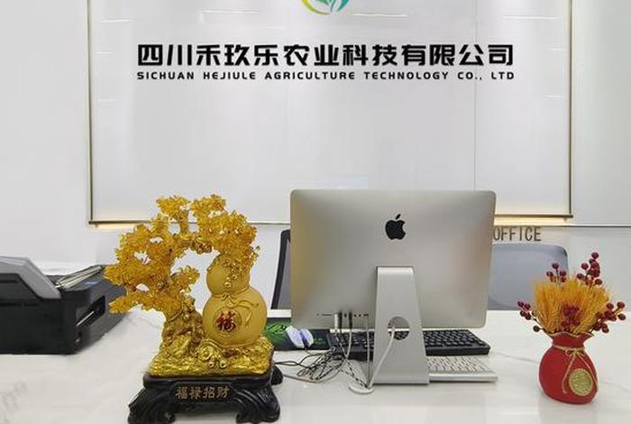 禾关电商,禾关科技 禾关电商,禾关科技