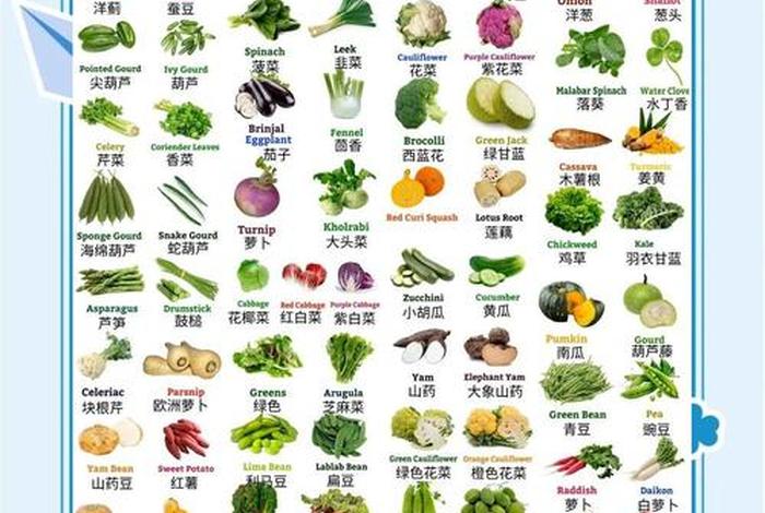 商店英语(蔬菜水果商店英语) 商店英语(蔬菜水果商店英语)