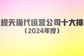 国内最大电商（国内最大电商代运营公司）