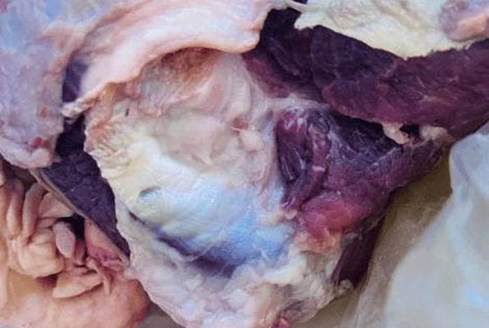 用猪肉冒充牛肉被拆穿(用猪肉冒充牛肉被拆穿犯法吗) 用猪肉冒充牛肉被拆穿(用猪肉冒充牛肉被拆穿犯法吗)