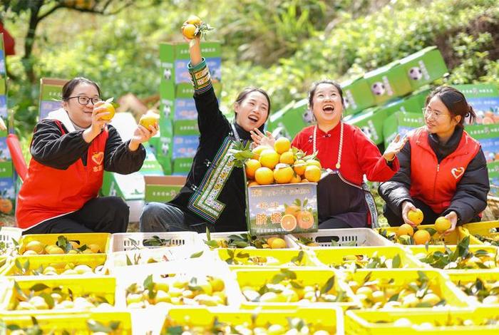 电商助农福建行动 - 电商助农活动