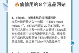 日本跨境电商选品 日本跨境电商选品网站