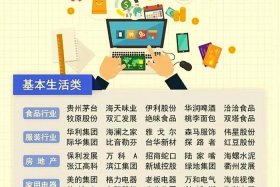 民生电商是什么 民生电商是做什么的