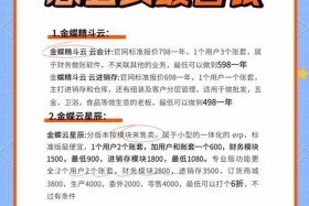 电商平台软件服务费计入什么科目；支付电商平台服务费计入什么科目