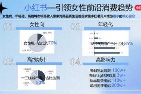小红书电商平台女性消费者精准化营销策略研，小红书电商平台女性消费者精准