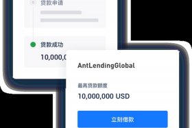 跨境电商贷款怎么操作 - 跨境电商贷款怎么操作的