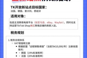 tiktok电商平台入驻条件 - tiktok电商平台入驻条件有哪些呢