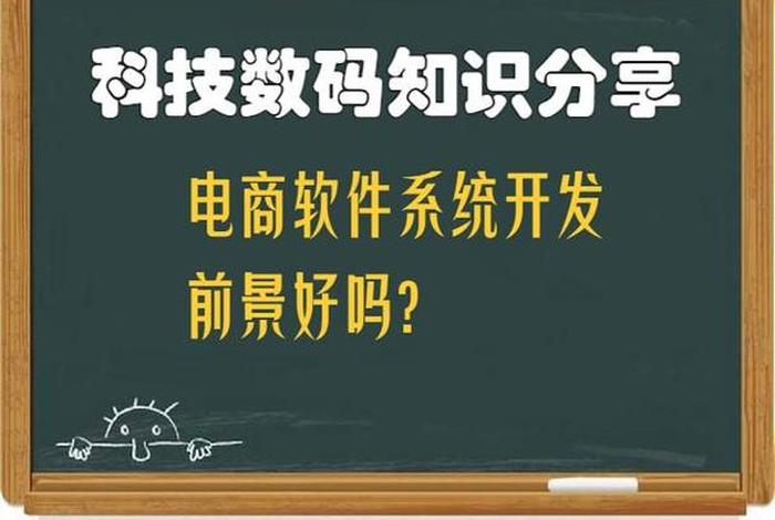 电商软件开发编程 电商软件开发编程怎么样 电商软件开发编程 电商软件开发编程怎么样
