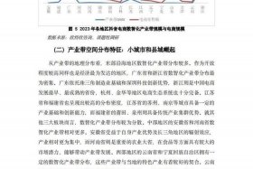 产业电商化 - 产业电商化发展