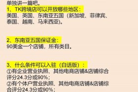 tk电商店铺运营教程（tk微电商加盟费600）