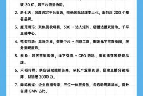 电商运营平台推荐 电商运营平台排行榜前十名