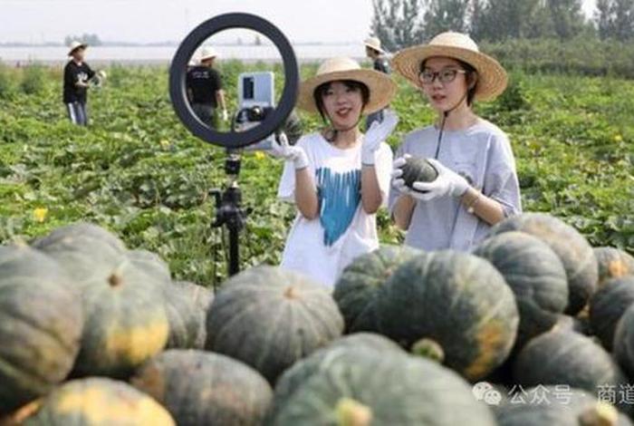 电商扶贫助力乡村振兴典型案例 - 电商助推产业扶贫、乡村振兴的典型研究