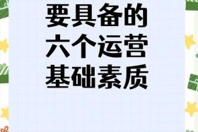 电商优势品是什么意思；优质电商是什么意思