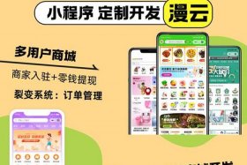 小程序电商平台开发（微信小程序电商平台开发）