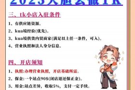 tiktok跨境电商入驻条件（tiktok跨境电商入驻条件及）