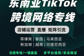 东南亚的跨境电商有哪些（东南亚的跨境电商有哪些品牌）