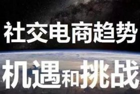 怎样注册社交电商平台（怎样注册社交电商平台呢）