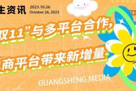 双11电商平台、双11电商平台的发展