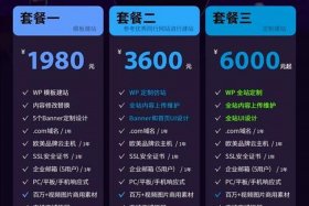 外贸跨境电商网站，外贸跨境电商网站建设开发