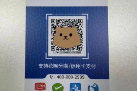 跨境电商收款第三方平台；跨境电商收款第三方平台46w银盛秒到收款码