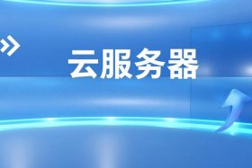 开发电商平台用到的服务器 - 开发电商平台用到的服务器是什么