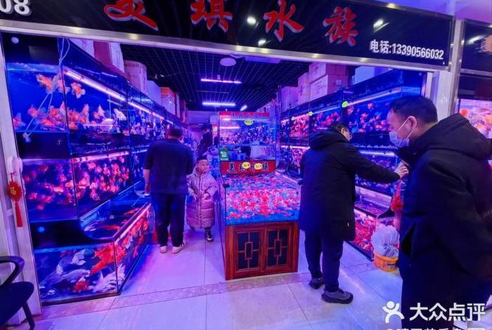 电商鱼店是什么意思、电商鱼塘是什么意思 电商鱼店是什么意思、电商鱼塘是什么意思
