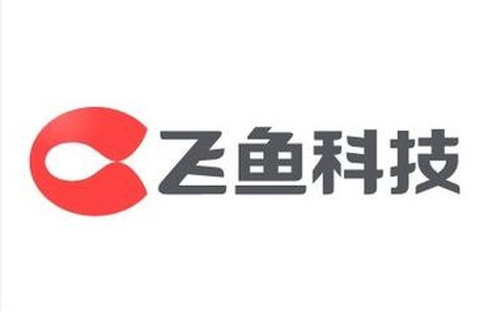 飞鱼电商官网，飞鱼电商官网首页