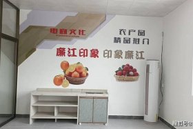 电商园介绍 电商基地介绍