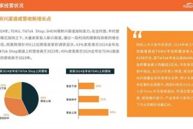 跨境电商公共服务平台是什么 你觉得跨境电商公共服务平台未来的趋势是什么？