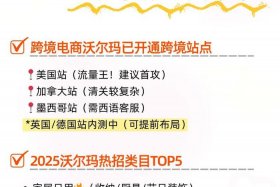 沃尔玛跨境电商平台入驻条件（沃尔玛跨境电商平台入驻条件及费用）